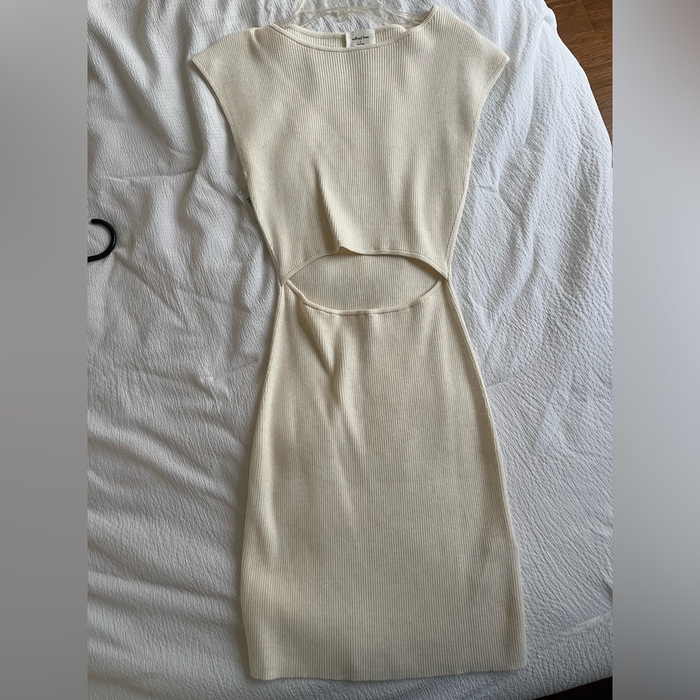 Aritzia Sweater Dress